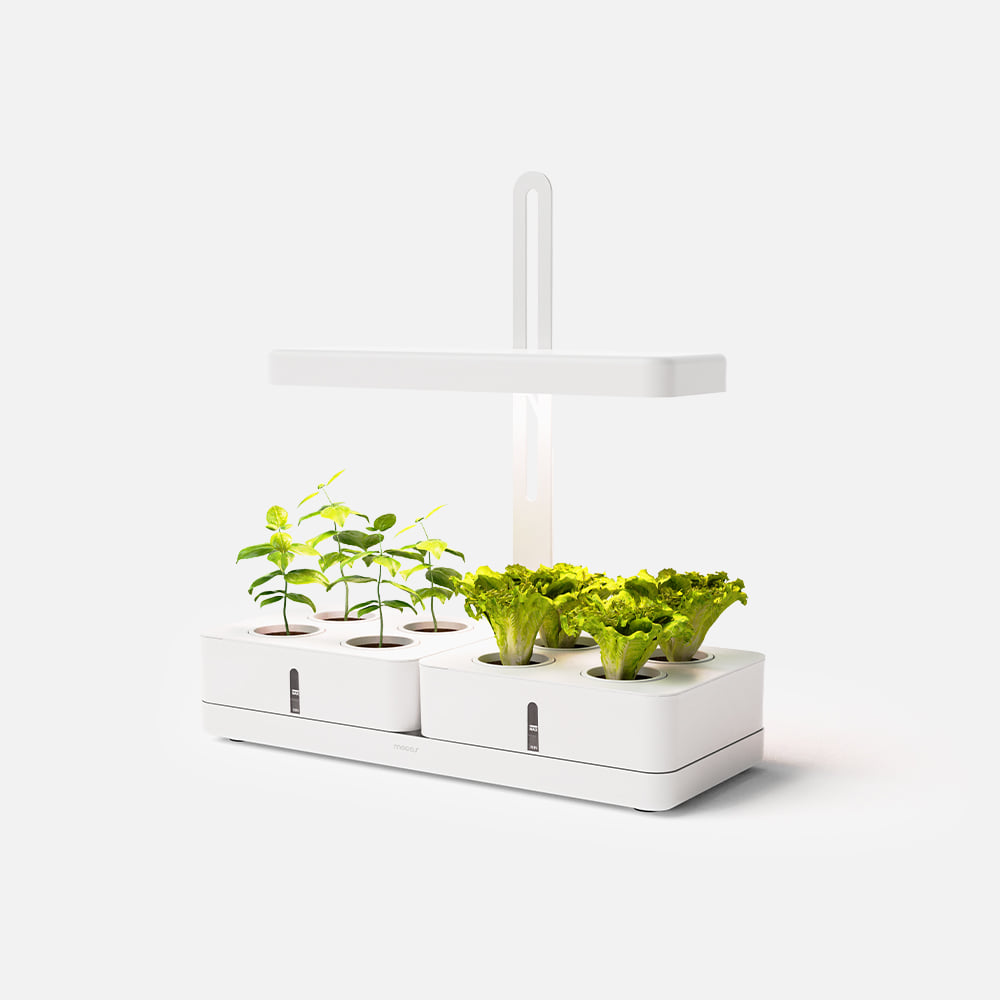 [무아스] 마이팜 홈가드닝 LED 식물 수경재배기